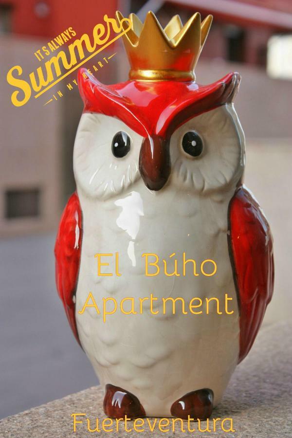 El Buho Apartment Wi-Fi بويرتو ديل روزاريو المظهر الخارجي الصورة