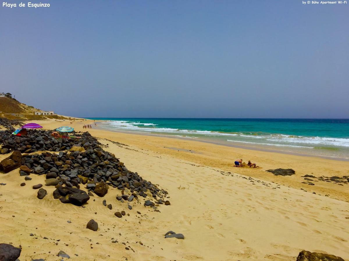 El Buho Apartment Wi-Fi بويرتو ديل روزاريو المظهر الخارجي الصورة